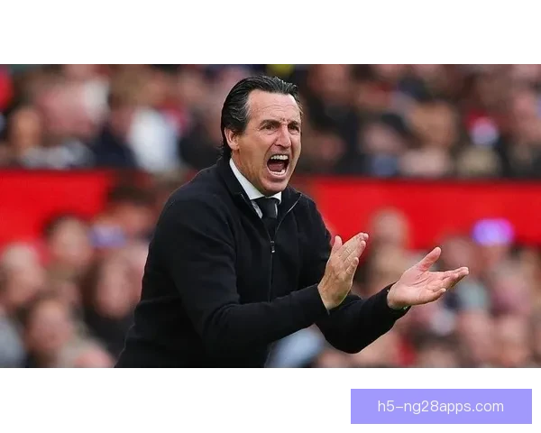 维拉三十年无冠埃梅里誓终结荒