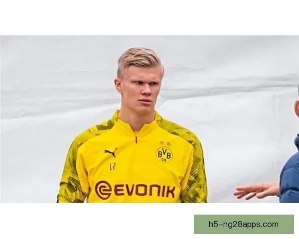 多特蒙德新援体检最新进展曝光